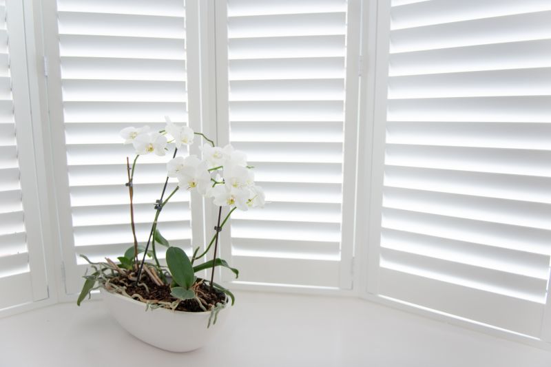 Shutters Replacement in Kansas City, KS